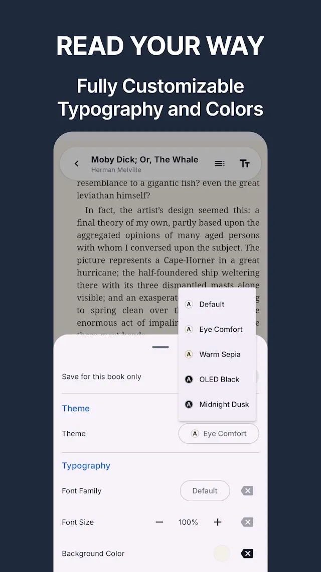 Hetko Reader settings: fully customizable typography and colours.